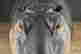 item-130859078=7