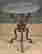 item-130859122=2