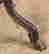 item-130859122=5