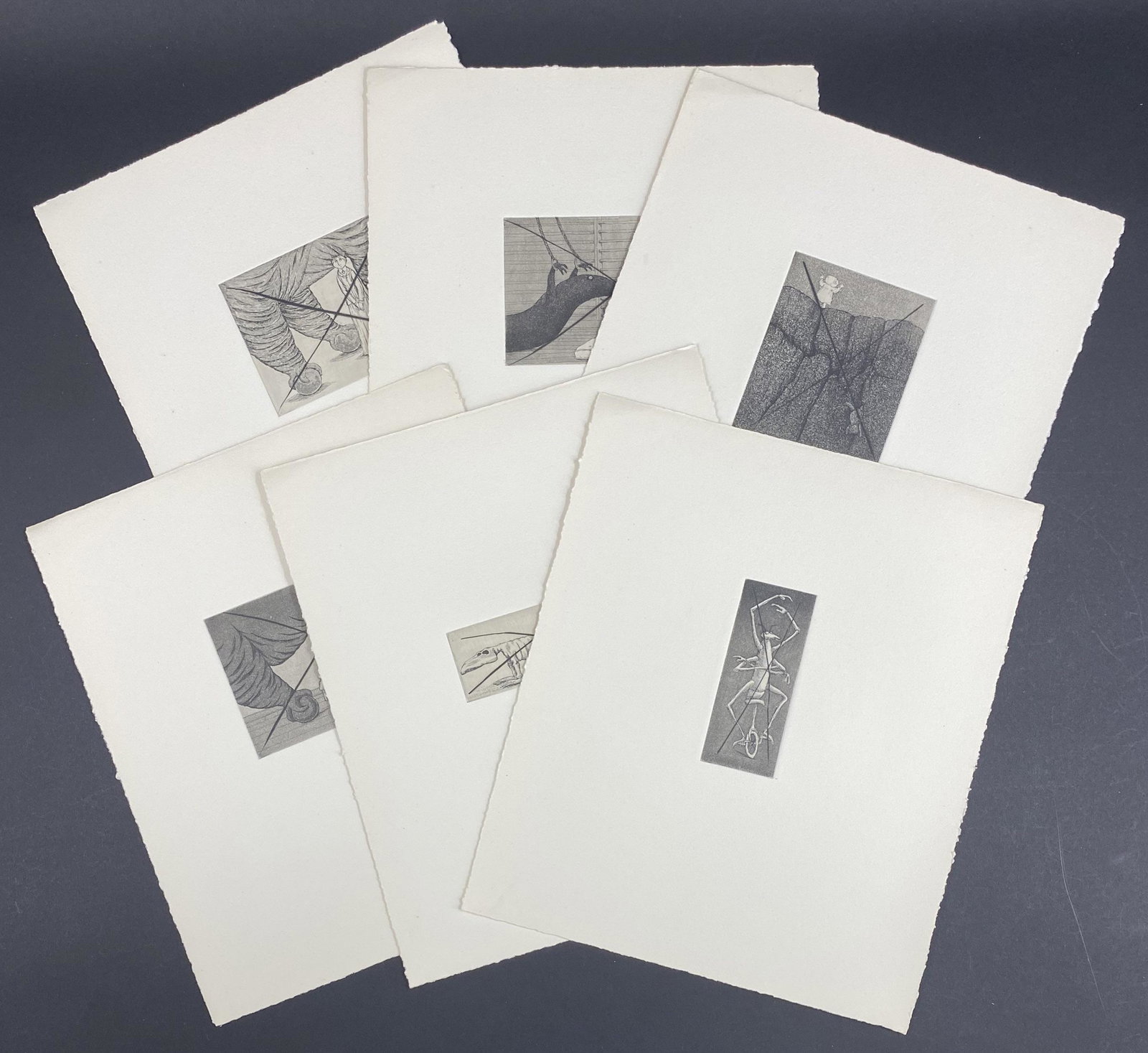 Complete but Canceled Set, Verlag Digenese Prints: Complete but Canceled Set, Verlag Digenese Prints. Size: 14"T x 12"W