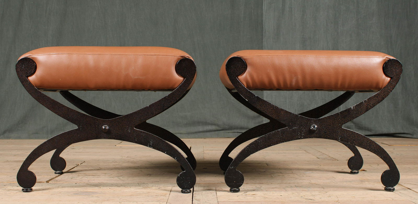 Pair Cast Iron Curule Benches (1 of 7)