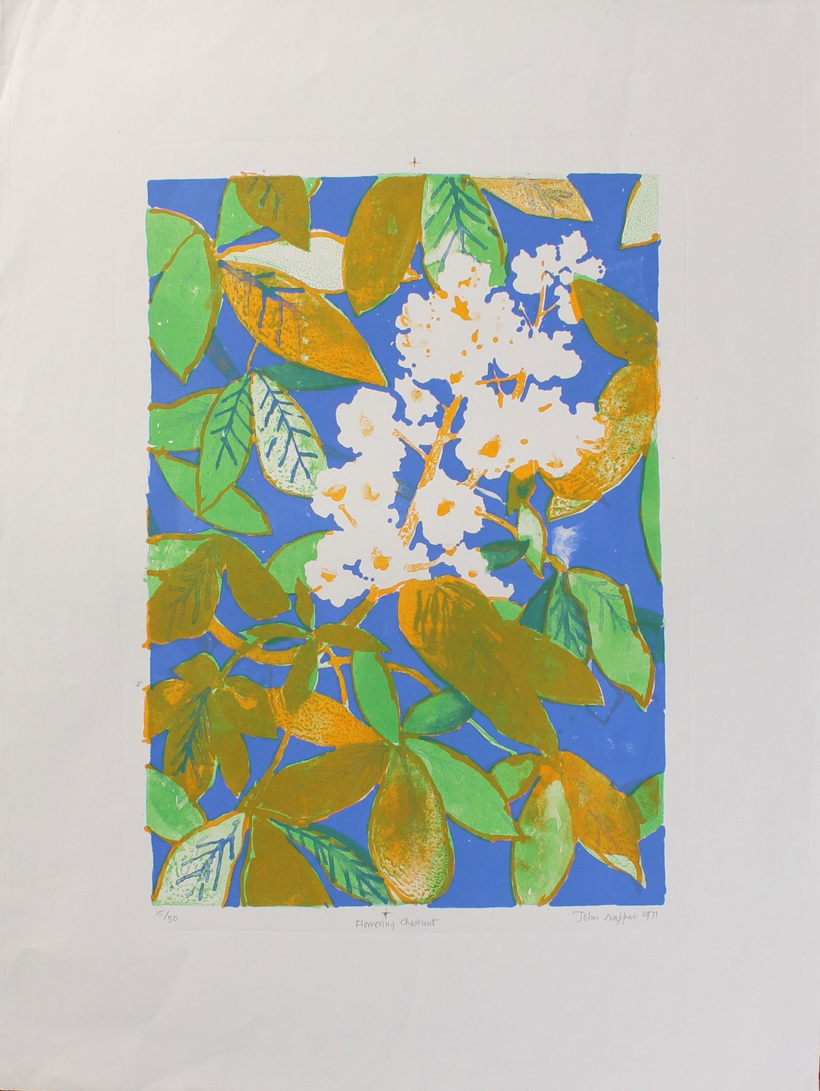 Vintage 1971 John Napper, Flowering Chestnut Print (1 of 3)