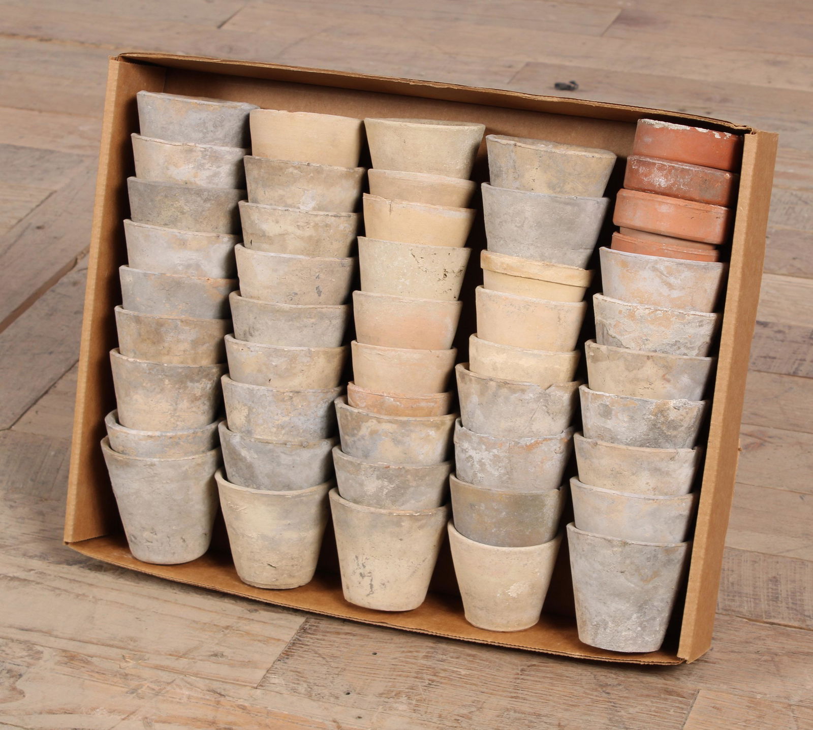 Terracotta Seed Pot Lot (1 of 4)