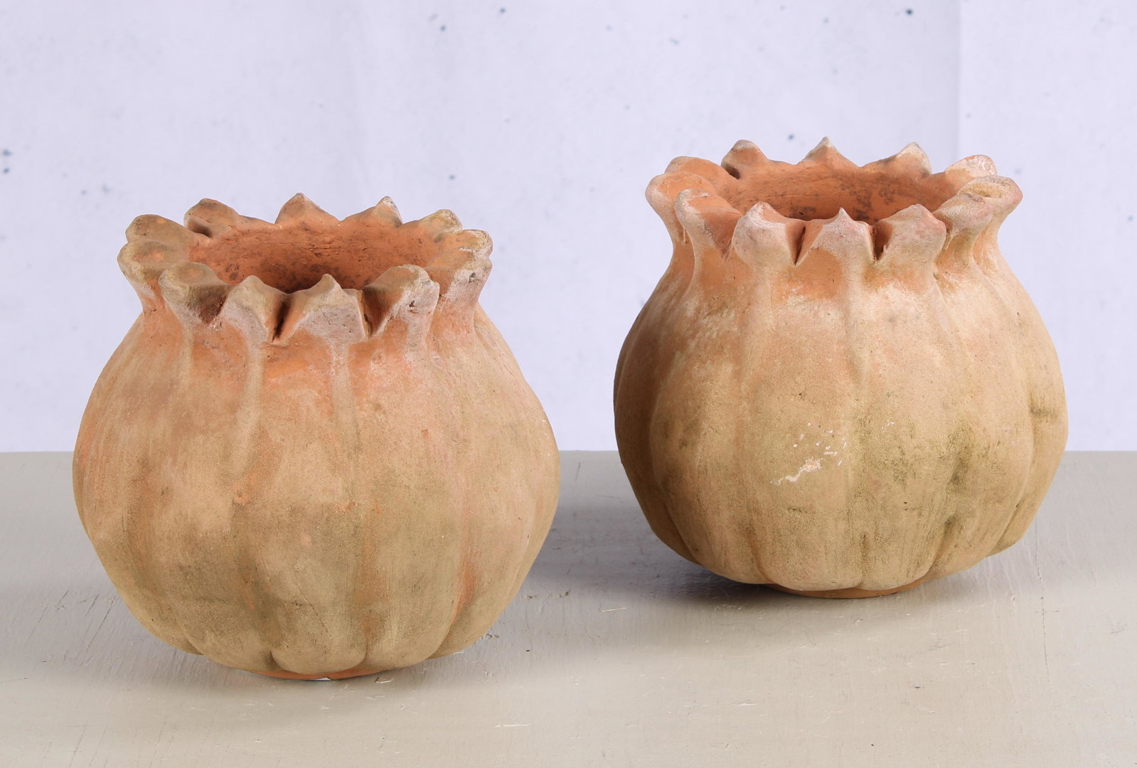 Pair of Poppy Bud From Planters, Terracotta: Pair of Poppy Bud From Planters, Terracotta. Approx. H 7" x 7" Dia.