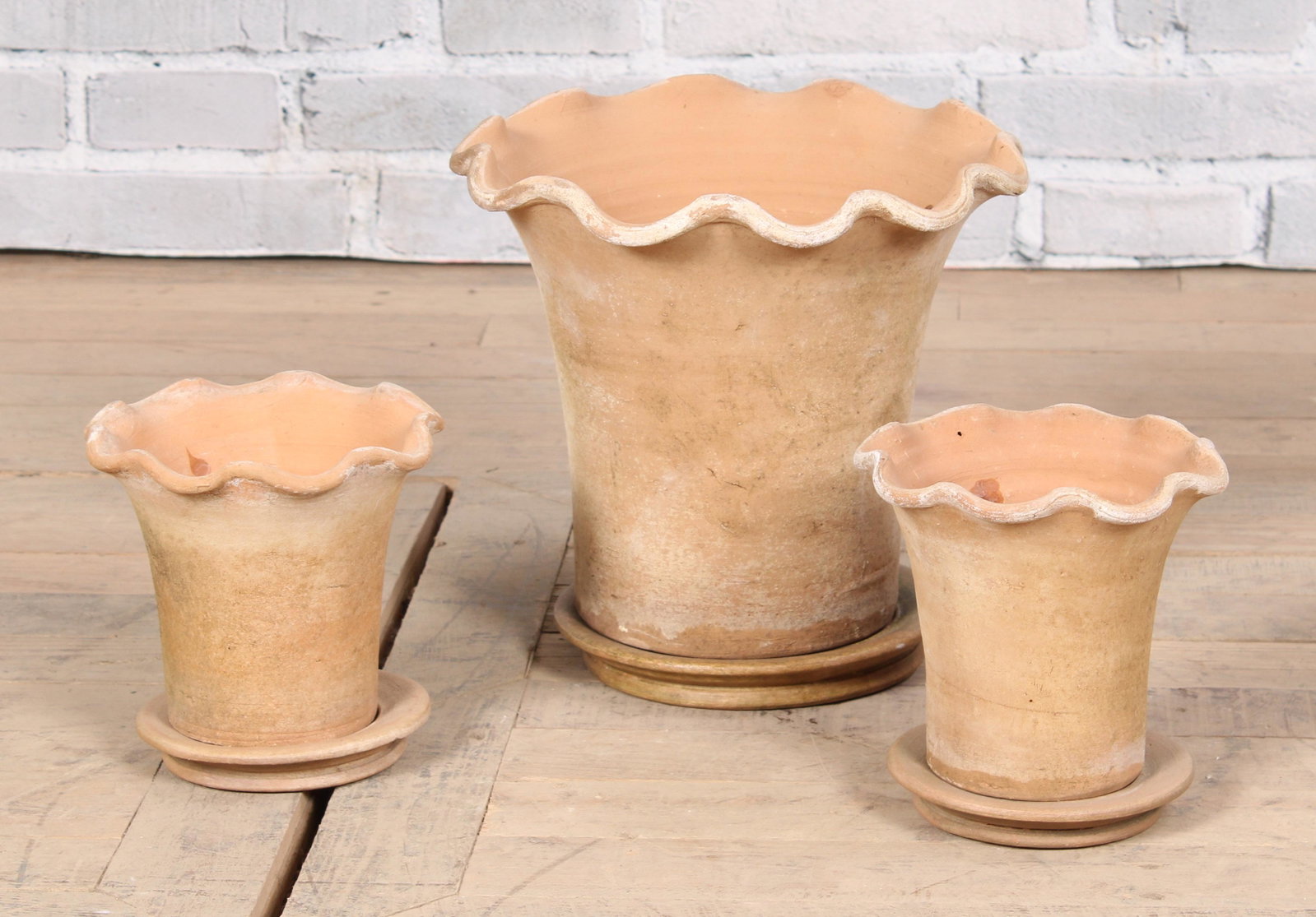 Trio of Scalloped Terracotta Planters: Three aged terracotta planters with a scalloped edge and matching plates. Largest Size: H 10" x W 12" D 12"