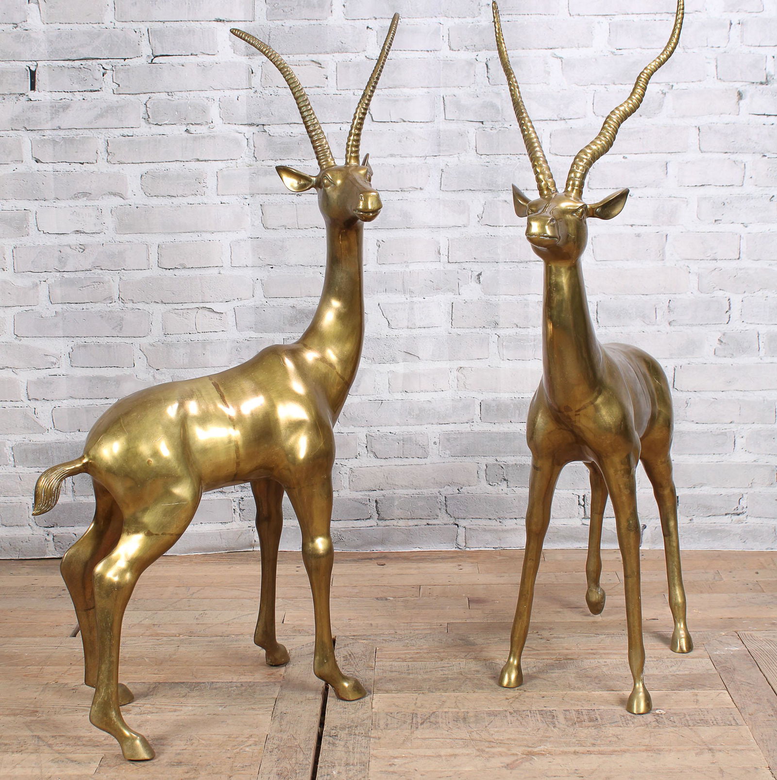 Large Scale Pair Brass Impalas (1 of 12)