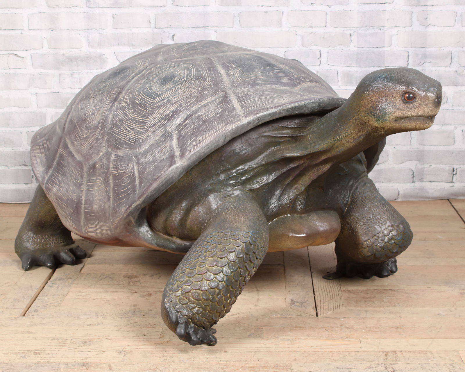 Garden Tortoise (1 of 5)