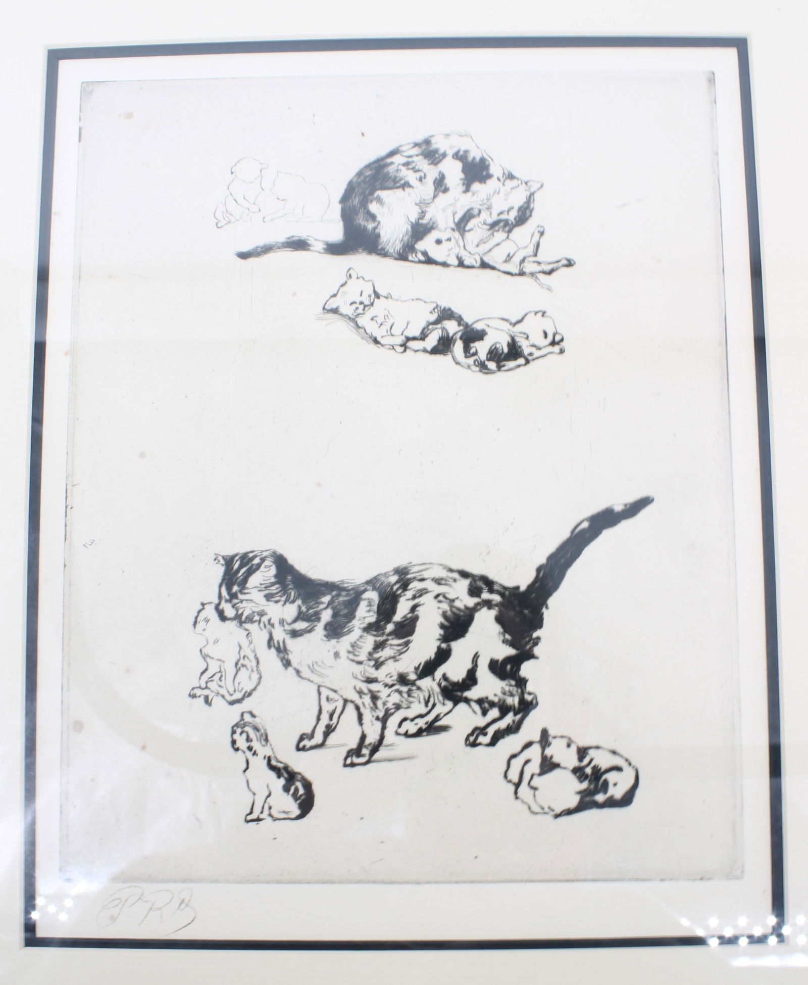 Signed Cat Etching (1 of 7)
