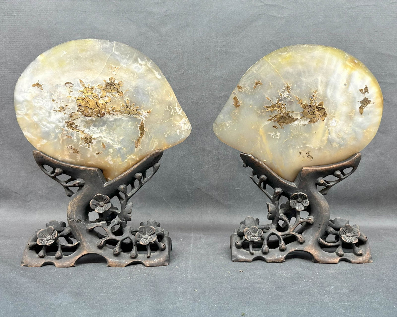 Antique Chinese Mollusk Shells on Stands (1 of 8)