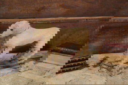 Antique Toy Dog on Wheels