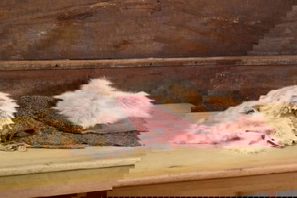 Grouping of Fur Throws, Rabbit & Fox