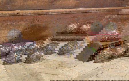 Group of 12 French Metal Petanque Boules