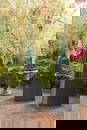Ecclesiastical Spires On Bases, Garden Sculpture