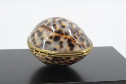 Antique Mounted Cowrie Shell Locket Box