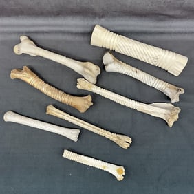Collection of 8 Bone Rasps