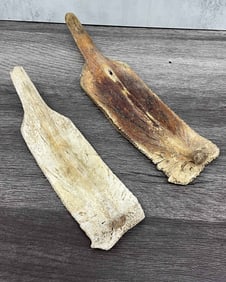 Divination Scapulas, Scapulimancy