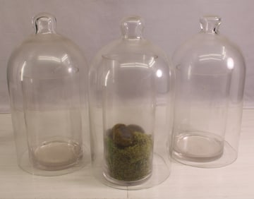 Group of 3 Bell Jars, Cloches