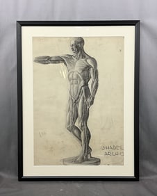 Baltimore School Anatomical Figure Study