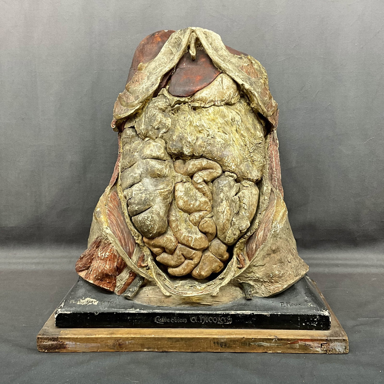 French Anatomical Model, Augier Nicolas Roux: Absolutely stunning antique French anatomical model of the human torso. Showing internal organs and muscle structure. Plaster, chalk ware composition, painted, wood plinth. Inscribed with 3 names. M.