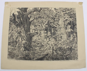 Forest Study Etching, Richard Winckel