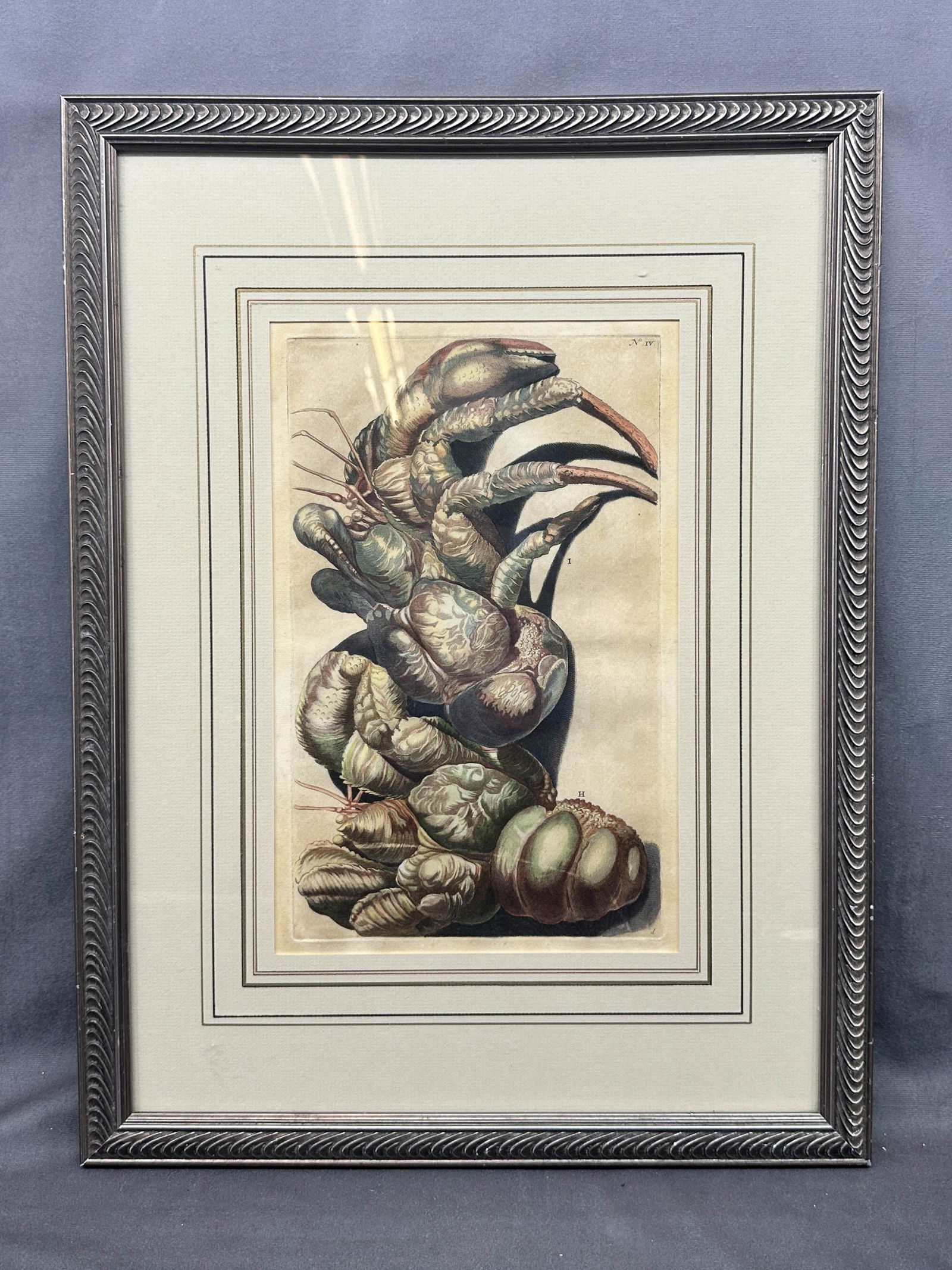 Antique Hermit Crab Litho, Copper Plate (1 of 10)