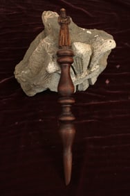 Vampire Stake, Protecting Padre