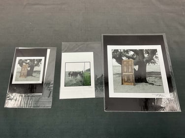 James Tripp Photos