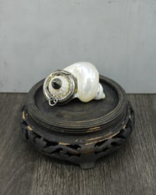 Mounted Shell Pill Box, Snuff Box