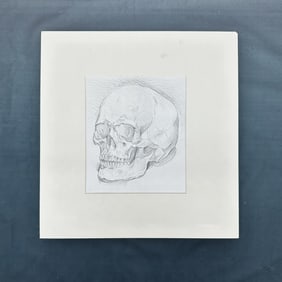 Original Sketching of Skull