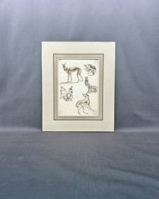 Original Art Work, Pen &Ink, Dogs
