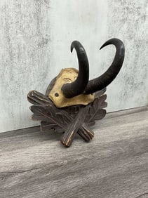 Black Forest Antelope Mount, Hunting Trophy