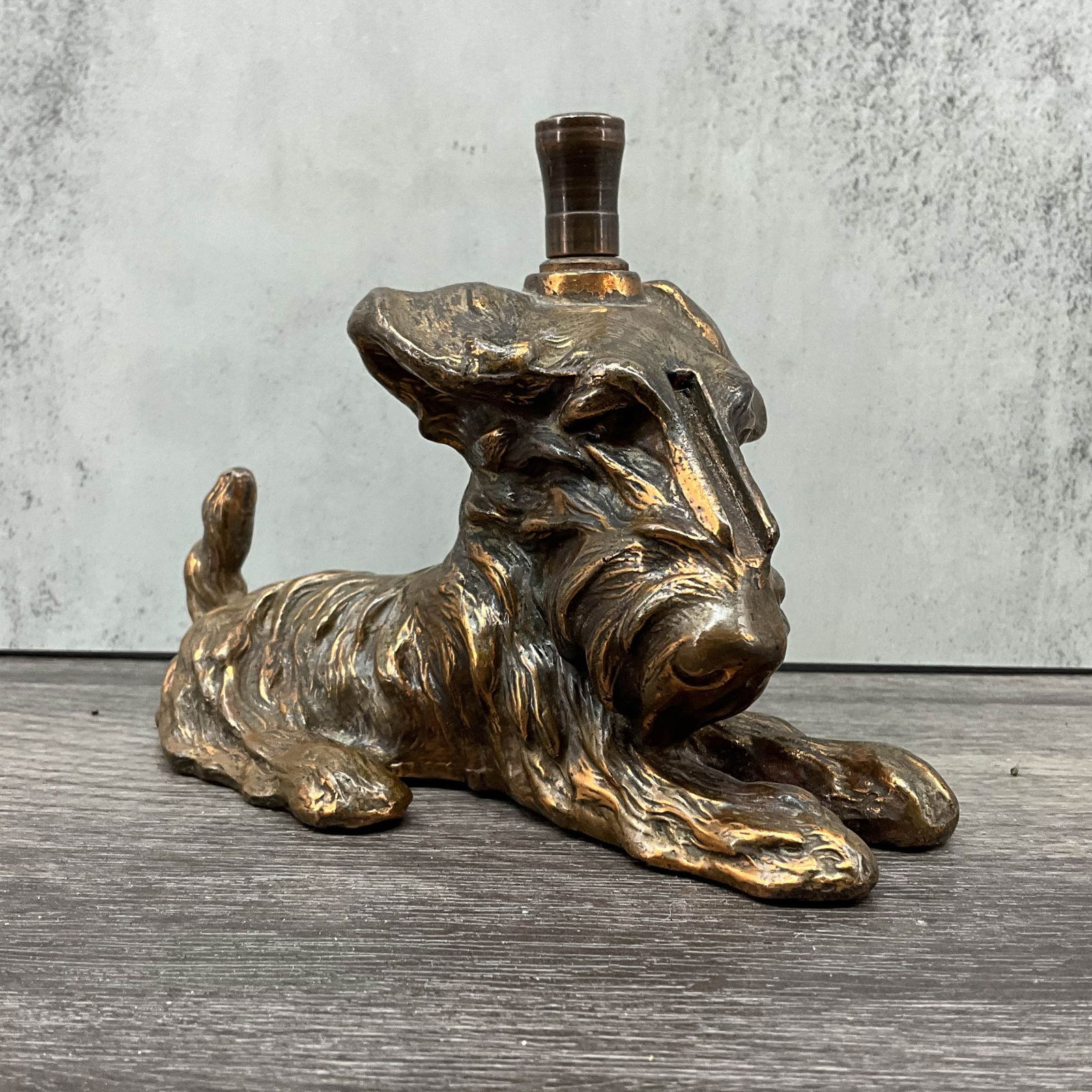 Brass Terrier Table Lighter (1 of 9)