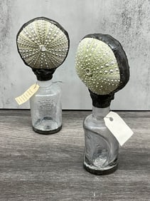 Pair of Antique Bottles With Sea Urchin Tops
