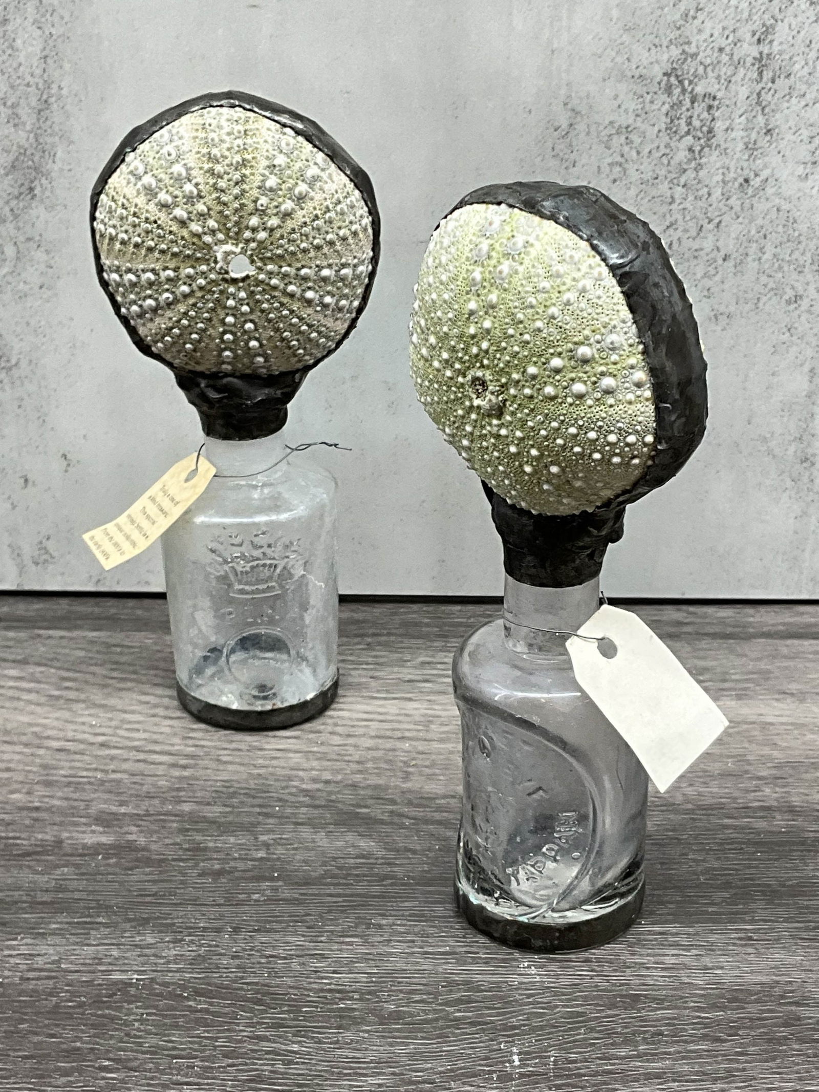 Pair of Antique Bottles With Sea Urchin Tops (1 of 10)