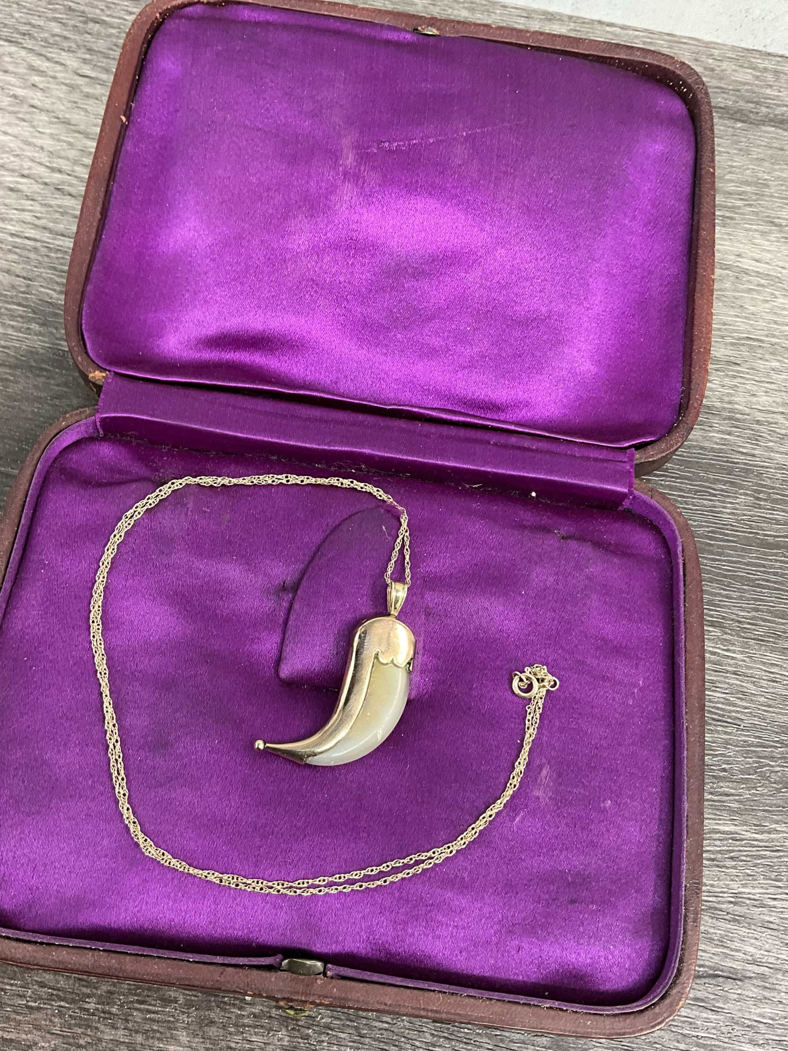 14K Yellow Gold Mounted Cat Claw: Stunning Victorian era gold set wild cat claw. 14K gold setting, unmarked. Chain is also 14K, marked on clasp. Size: 18" chain, 1.25"L pendantStand or box not included.