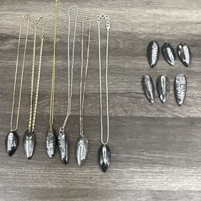 12 Orthoceras Fossil Pendants, Some With Chain
