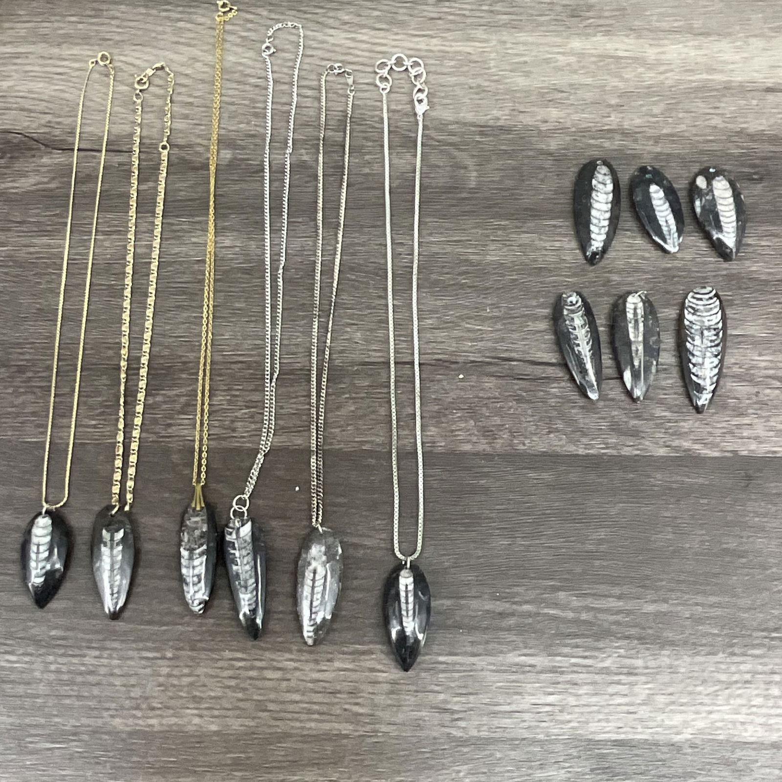 12 Orthoceras Fossil Pendants, Some With Chain: 12 Orthoceras fossils carved and polished into pendants. 6 with chains, 6 with out. Size: chains various, pendants 1.5-2"T
