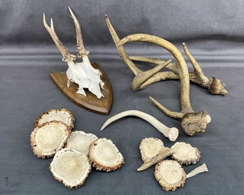 Generous Antler And Deer Mount Lot