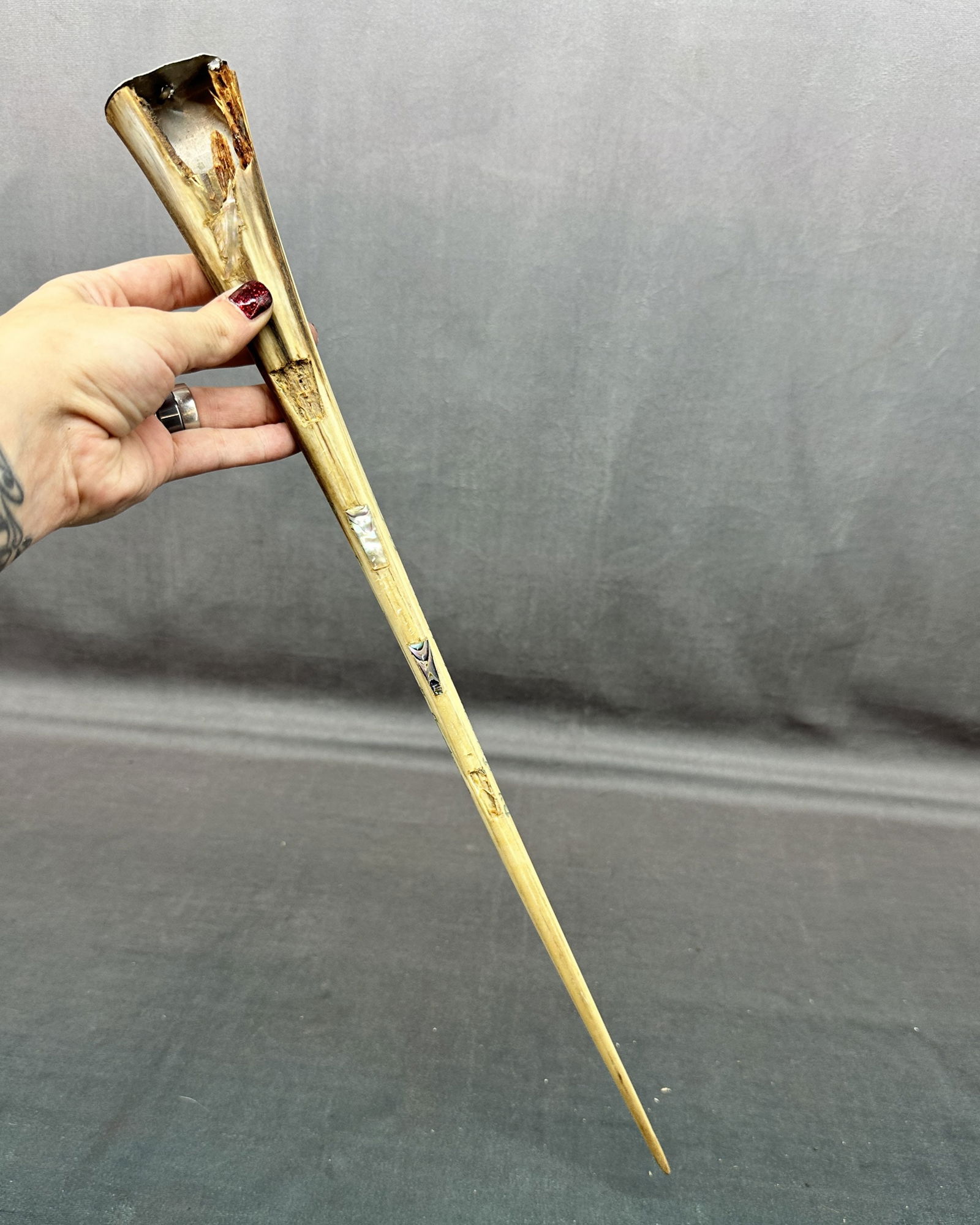 Vintage Memento, Sail Fish Bill With Shell Inlay (1 of 9)