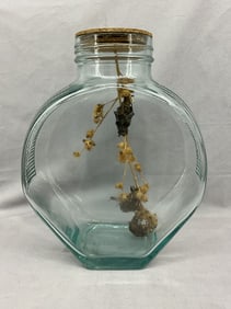 Taxidermy Bats In Oversized Jar