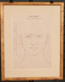 Proportions Of The Face