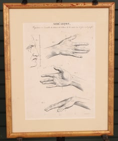 Proportions Of  Hands And Face