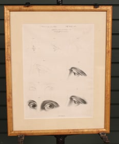 Charles Alberti, Study Of The Human Eyes