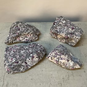 Selection Of Rubies In Matrix