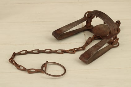 Early 20th C Triumph Wolf Trap
