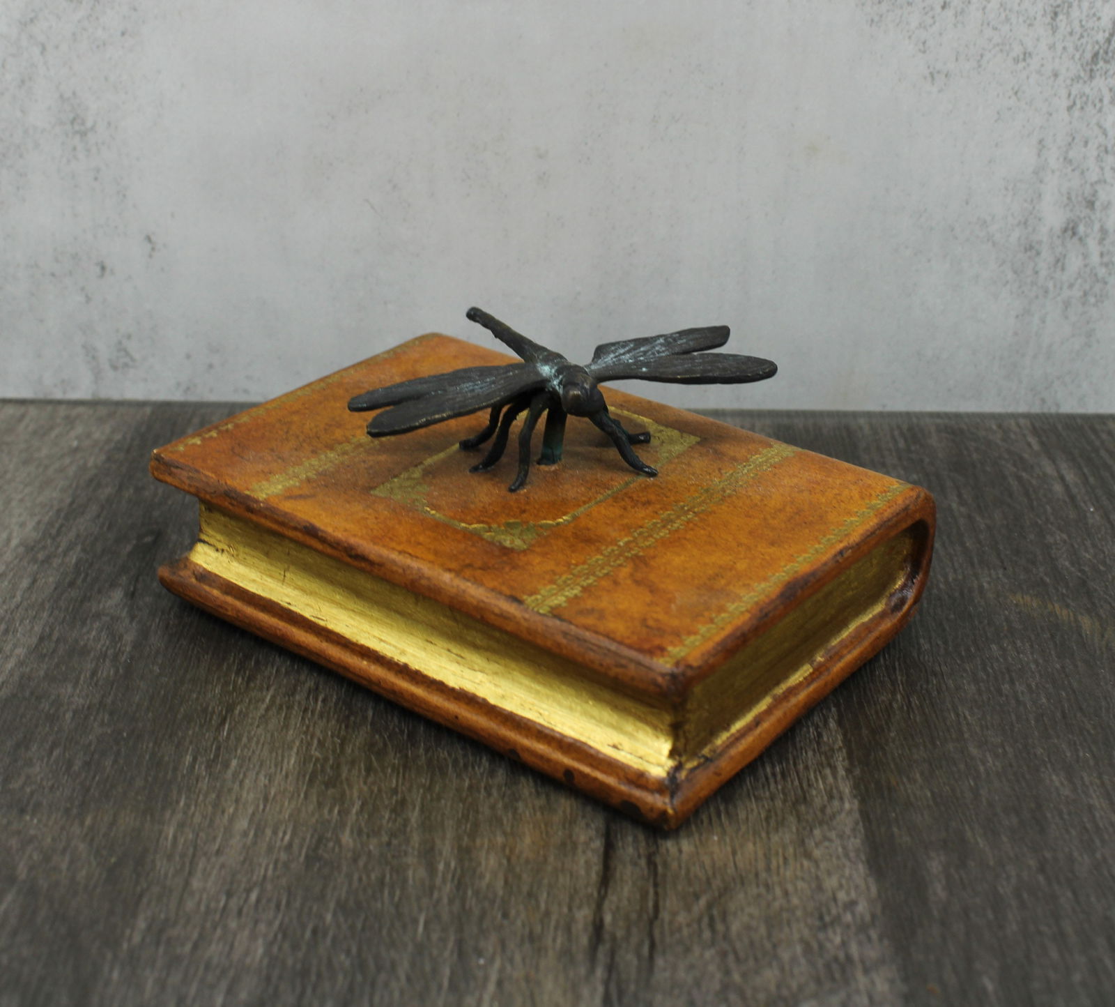 Dragonfly on Book (1 of 6)