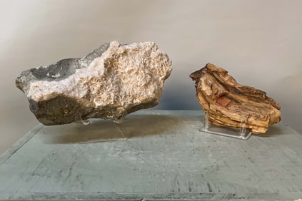 dolomite & Petrified Wood On Stands
