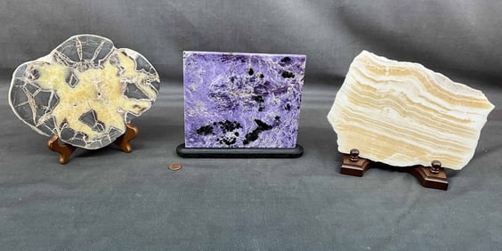 Calcite, Charoite, septarian Slabs