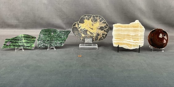 Calcite, septarian, Petrified Wood, Ruby Zoiste