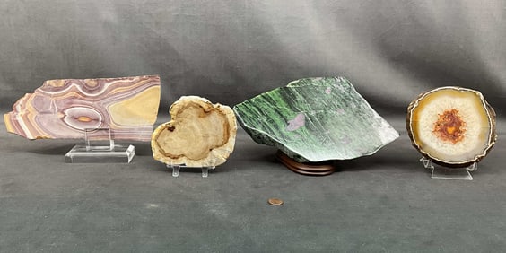 Ruby In Zoiste, Sandstone, Petrified Wood Slabs